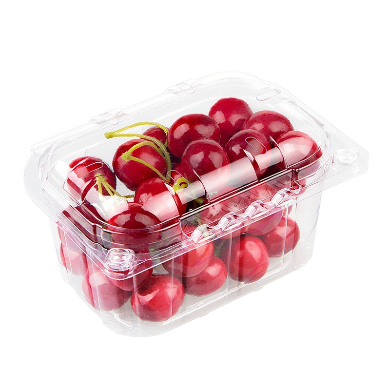 Pieni saranakansirasia