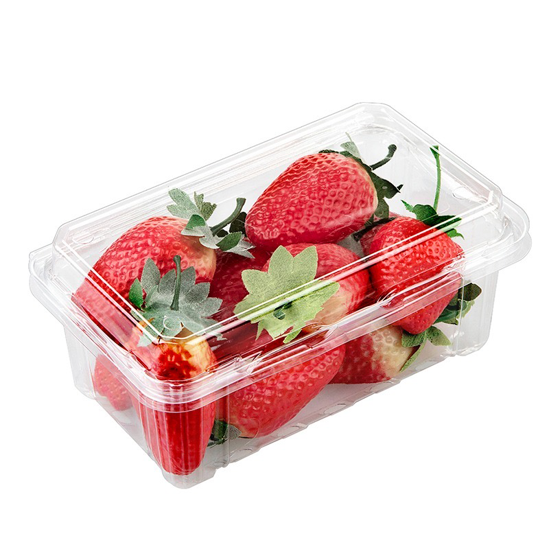 Saranakansirasia, 500 g/ 1 l